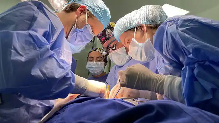 Cirugia Hepatobiliar_Dr_Luis_Flores