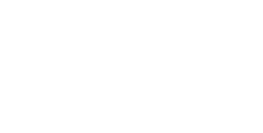 Dr_Luis_Flores_Logo_Blanco