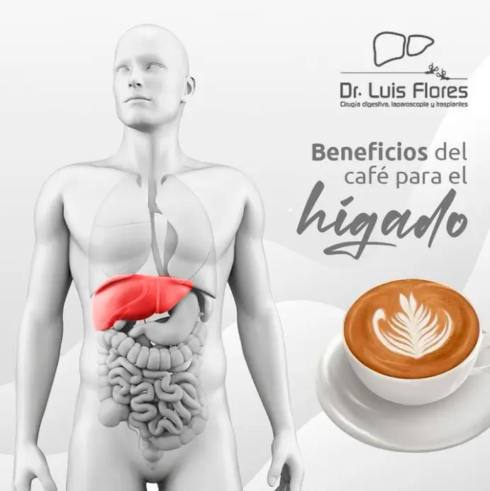 beneficios del café, cirugía digestiva en cuenca- ecuador