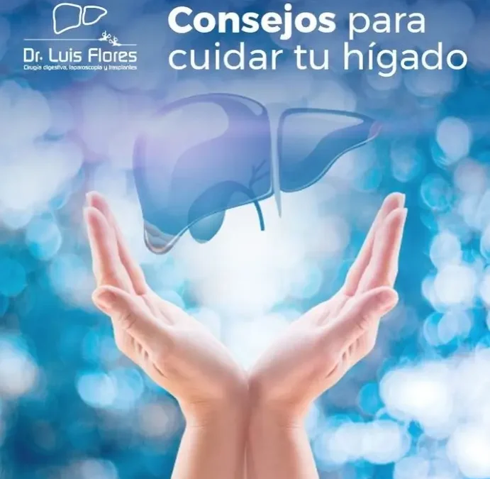 Consejos para Cuidar tu Hígado: Guía para Mantener un Hígado Saludable