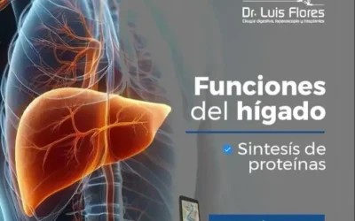 Las Funciones del Hígado: El Motor de Tu Salud