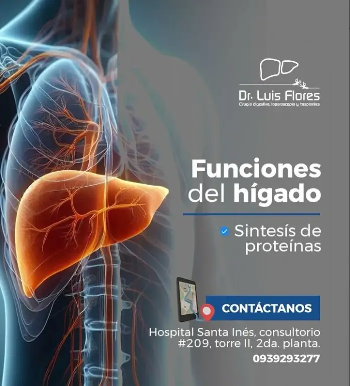funciones del hígado, Cirugía digestiva