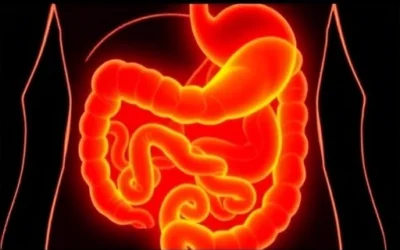 Cirugía Digestiva en Ecuador: Dr. Luis Flores, Recupera tu Salud.