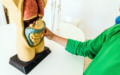 Cirugía hepatobiliopancreática en Cuenca: atención especializada para enfermedades complejas