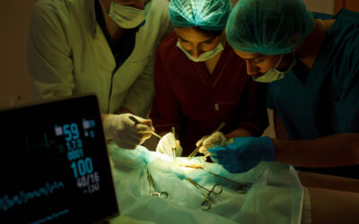 Cirugía de hígado en Ecuador: Innovación y precisión médica especializada